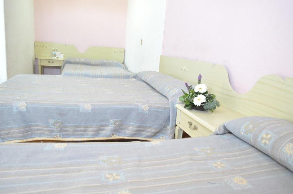 Hotel Viena Irapuato Exteriör bild
